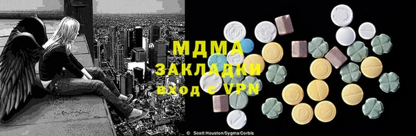 прущие грибы Богданович