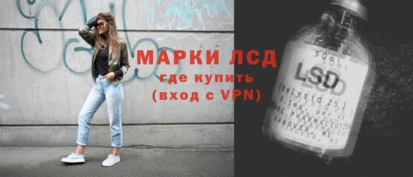 прущие грибы Богданович