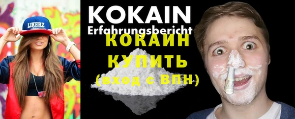 прущие грибы Богданович