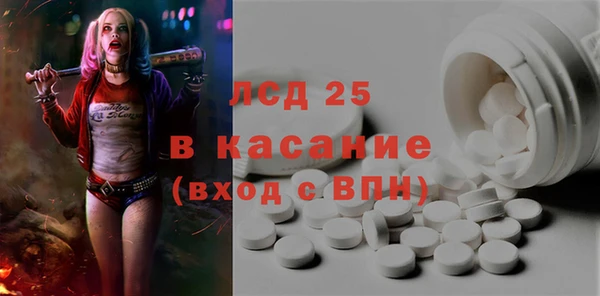 прущие грибы Богданович
