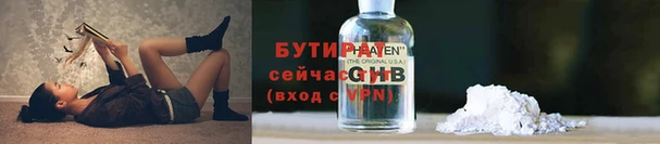 прущие грибы Богданович