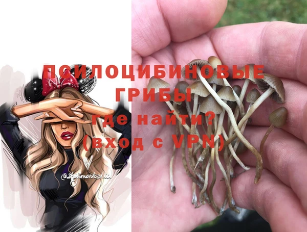прущие грибы Богданович