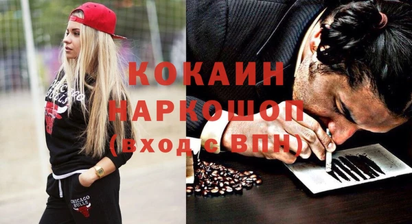 прущие грибы Богданович