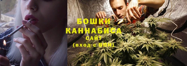 прущие грибы Богданович