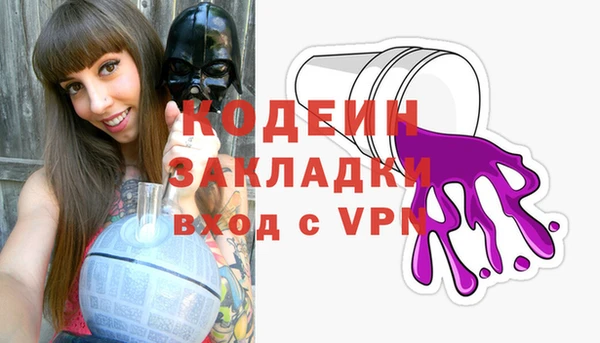 прущие грибы Богданович