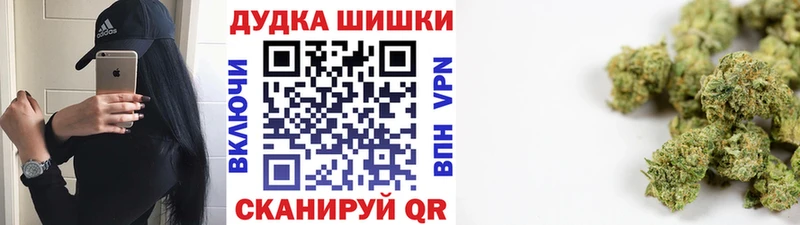 Шишки марихуана Amnesia  где найти   Северская 